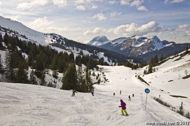 Abricotine, piste bleue