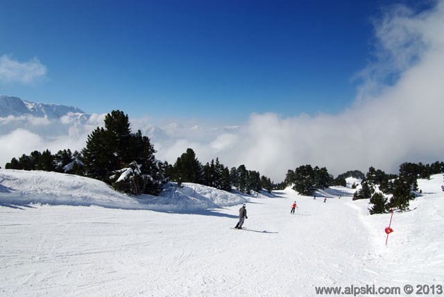 Ourson, piste rouge