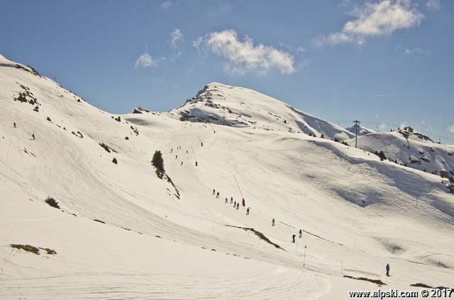 Le perdrix blanche, piste rouge