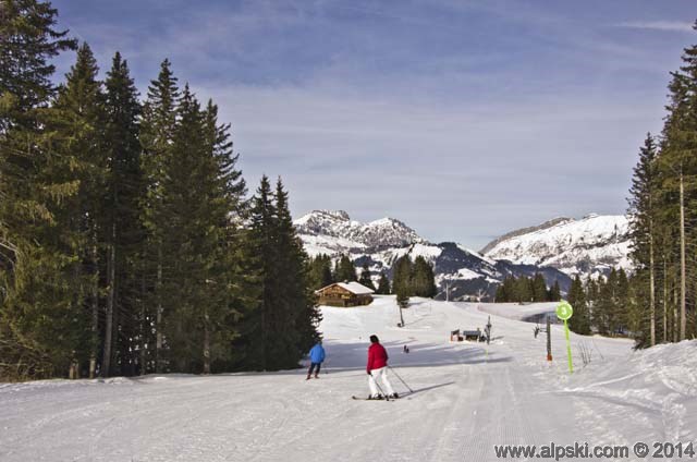 Grand bois piste verte, Crest-Voland