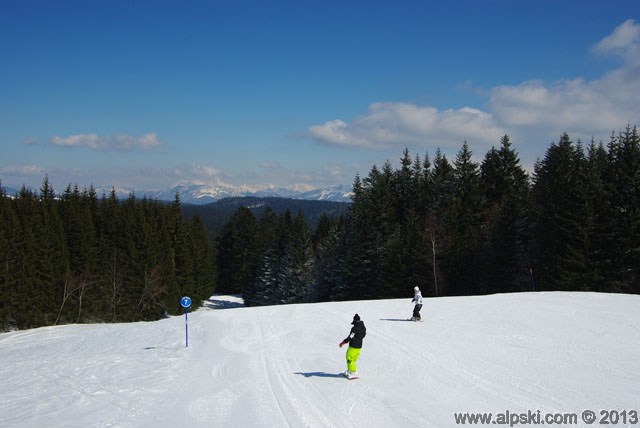 Ancolie, piste bleue