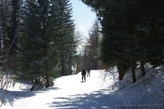 Narcisse, piste bleue