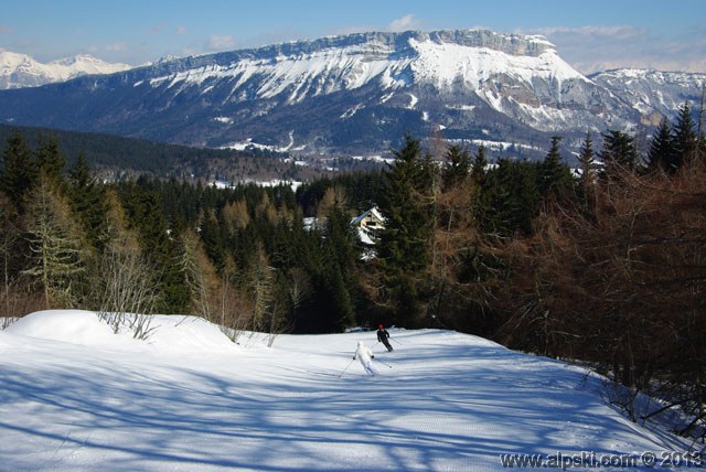 Orchis, piste noire