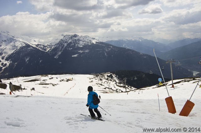 Renard, piste bleue