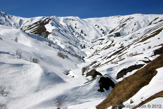 Renard, piste bleue