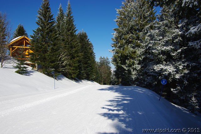 Lièvre, piste bleue