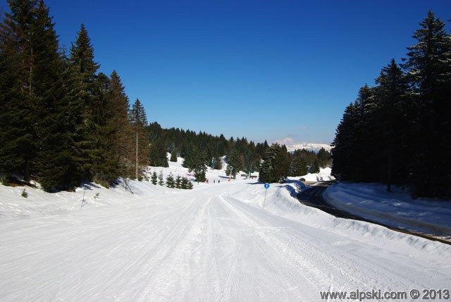 Renard, piste bleue