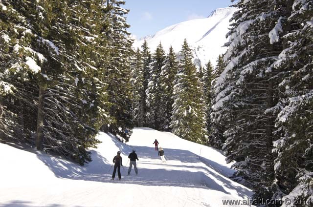 Jardin, piste bleue