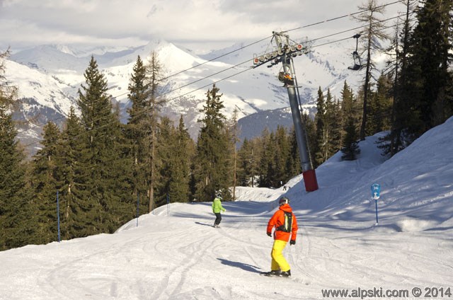 Fôret, piste bleue