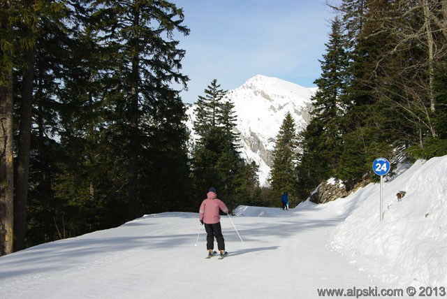 Ecureuils, piste bleue