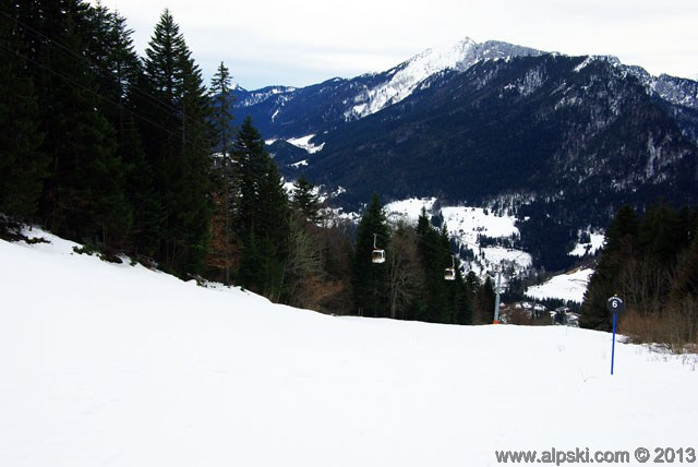 Dromadaire, piste noire