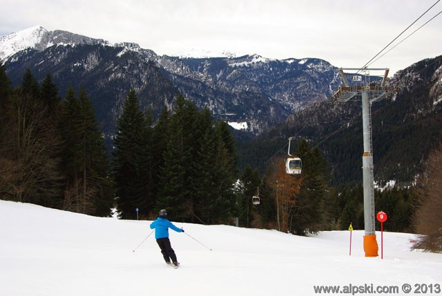 Lièvre, piste rouge