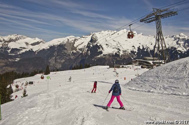 Demoiselles, piste verte