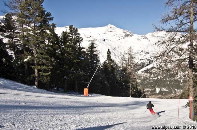 Bois des Coqs, piste rouge