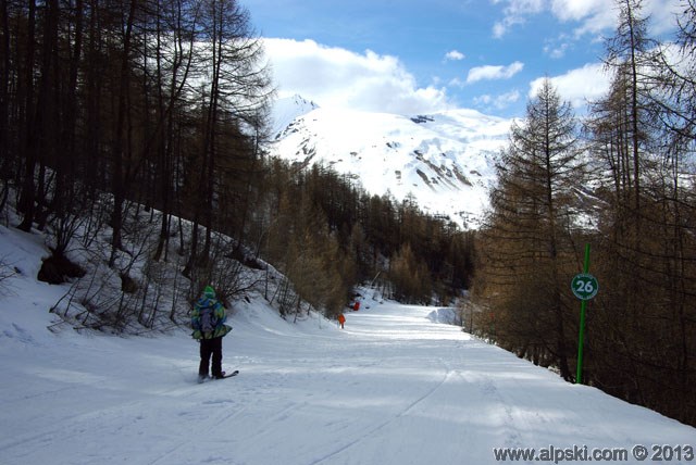 Myosotis, piste verte